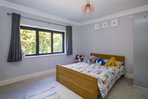 Photo 41- click for photo gallery